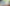 New Website Banner